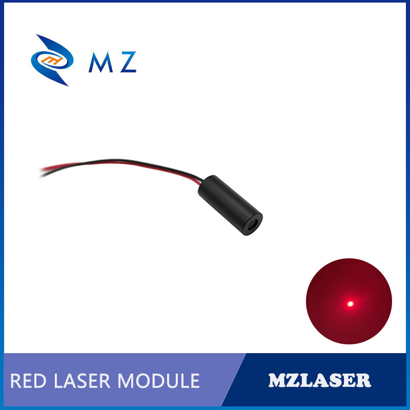 Compact Mini Red Dot Laser Dio - Industrial Grade Laser Pointer recension och pris